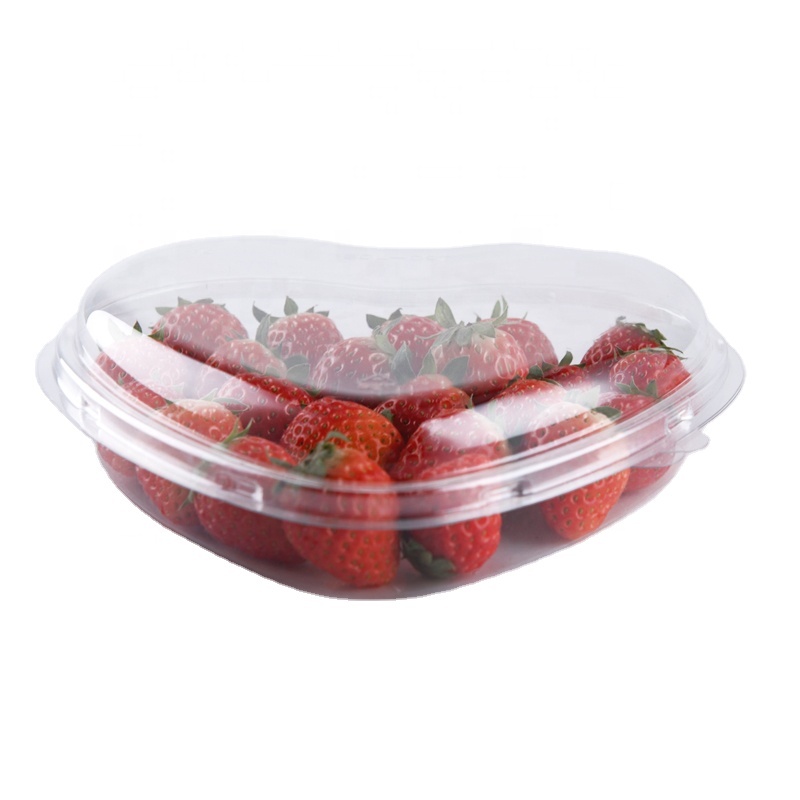 Caja de embalaje de plástico de frutas