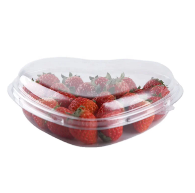 Top 5 Applications of the Plastic Packaging Box